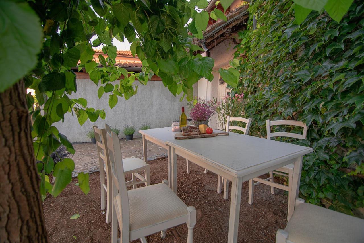 Apartment Ana - Karst Cycling Paradise Dutovlje Exterior foto